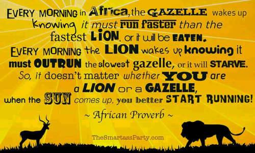 African Proverb